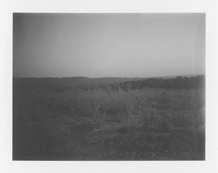 Black and white polaroid of field