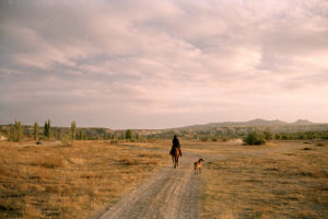 Man reading a horse with dog accompanying him in sunset lit field