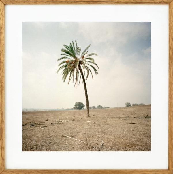 Untitled from Masdūd series, 2011. - Image 2