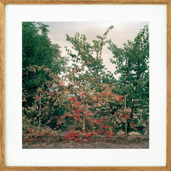 Untitled #1 from Sūkūn series, 2013. - Image 2