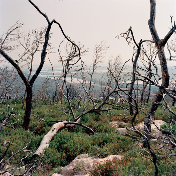 Carmel I