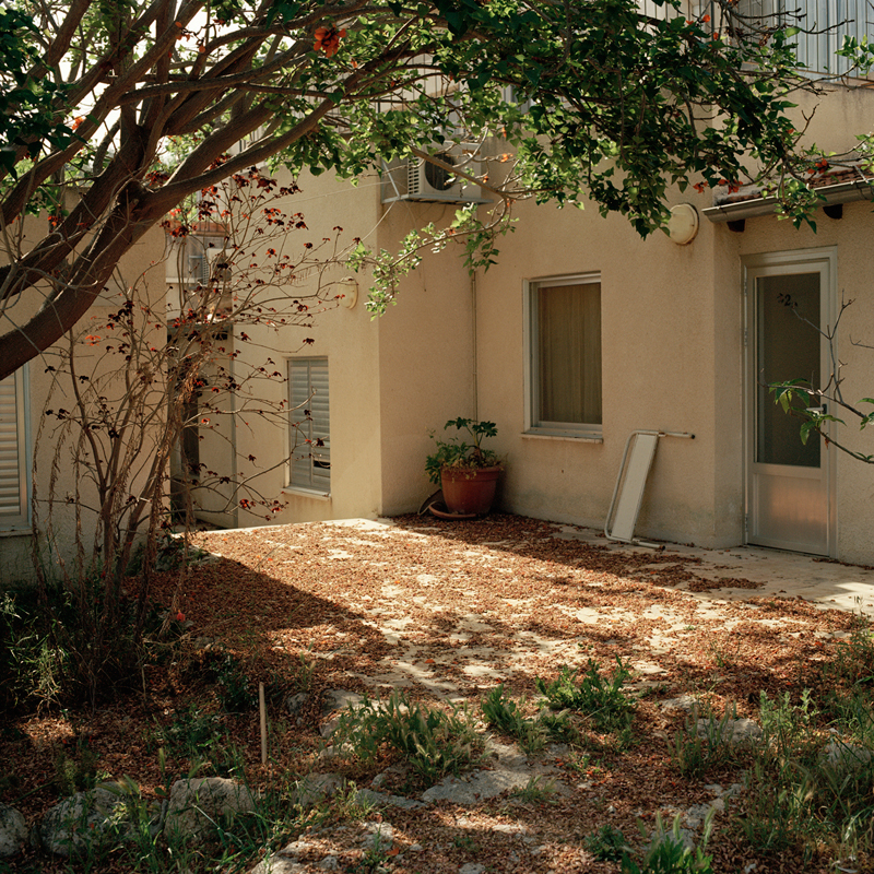 Flower covered coutryard with early morning sun shining through the buildings