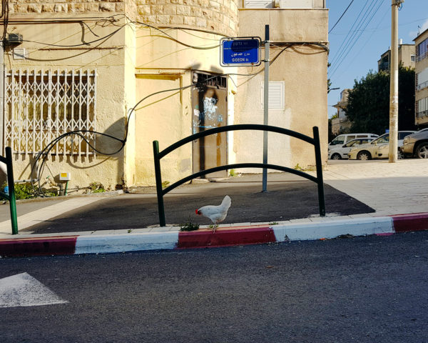 Haifa Street Chicken